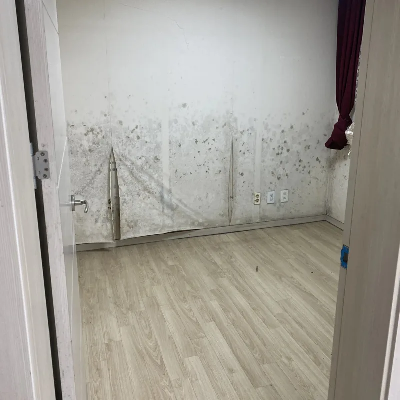 벽면에 곰팡이 얼룩이 퍼져 있던 빌라 방