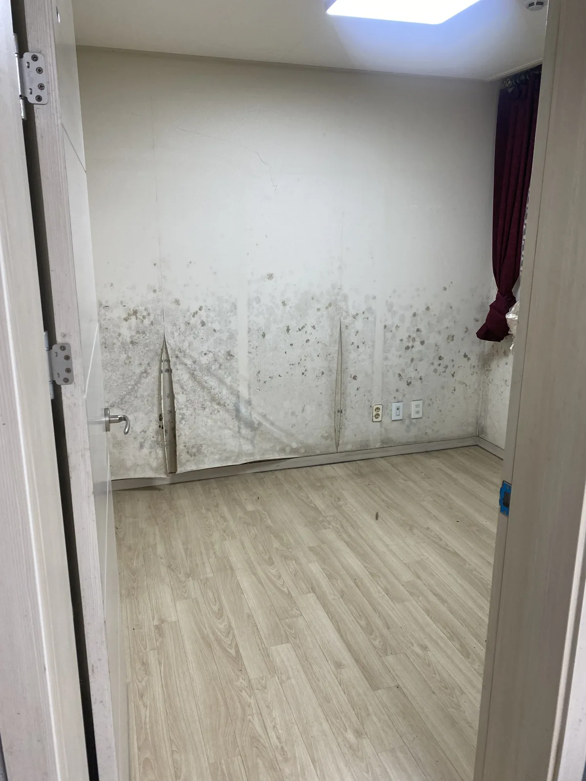 문 안쪽 벽면 전체에 크게 번진 곰팡이와 얼룩 자국